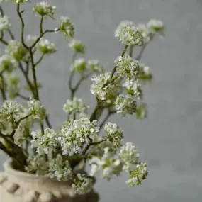 Blossom 53cm