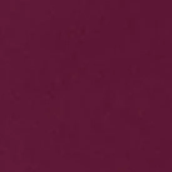 Blossom -Women's Princess Seams Mock Wrap Top [1]